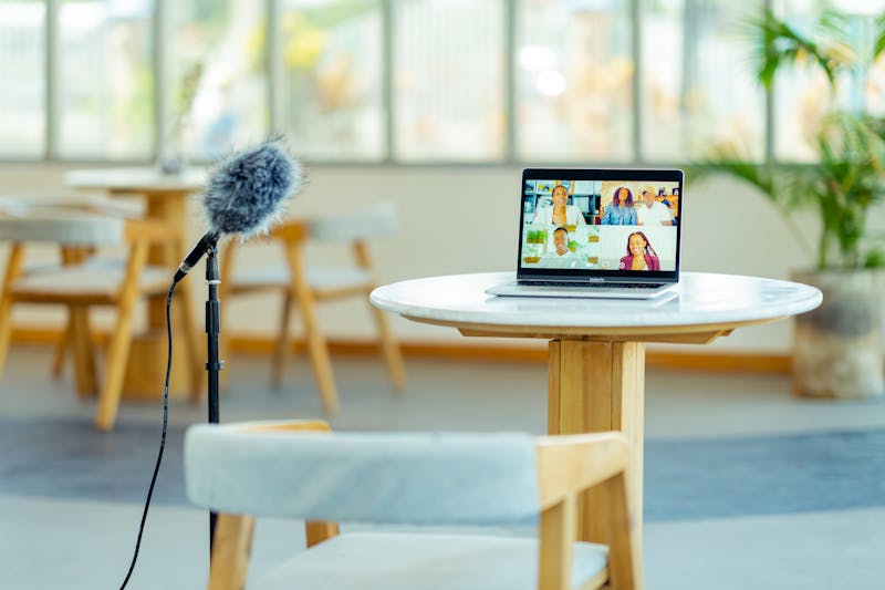 online meeting audio check waveform visualization