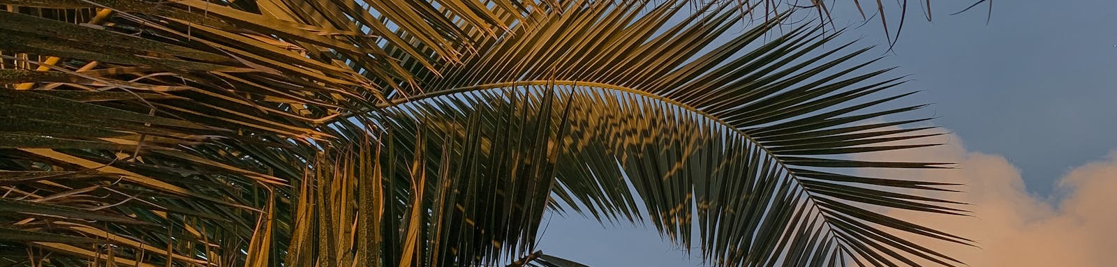 smartphone vibration motor test closeup