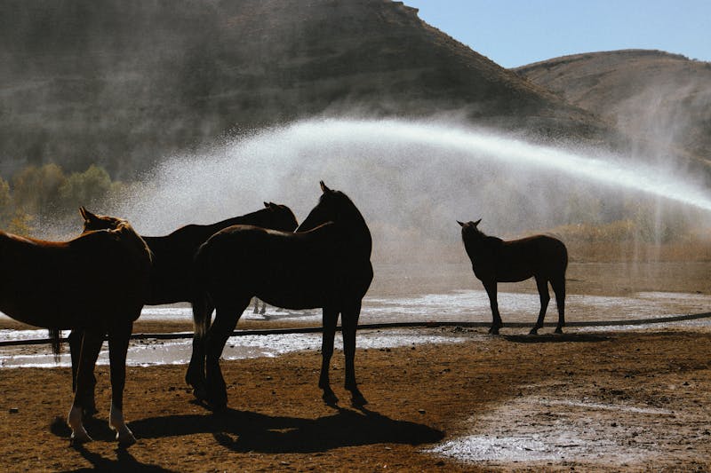 reglage exposition webcam contre-jour correction lumiere