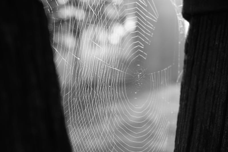 tecnología bluetooth, escaneo de dispositivos, interfaz web moderna, diagnóstico de red, conexión inalámbrica