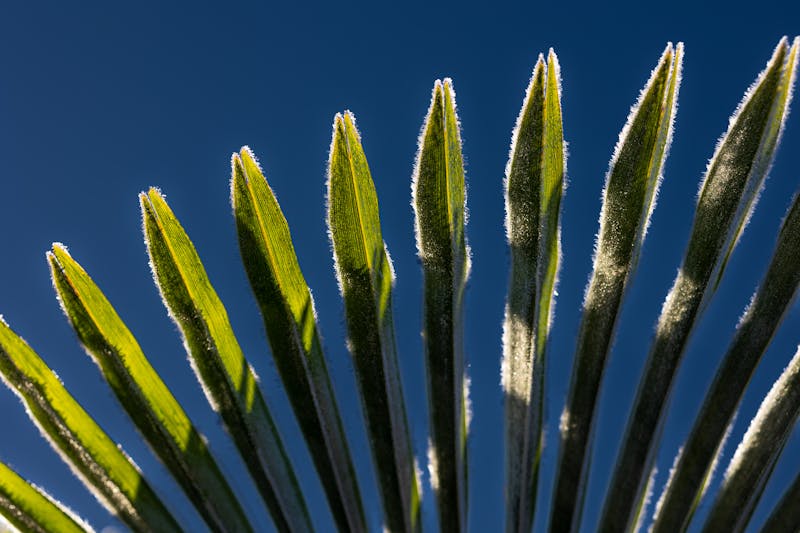 静止状态下传感器数据漂移对比图,左侧正常右侧异常抖动