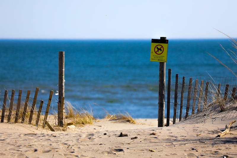 Browser Permission Dialog Camera Access Allow Block