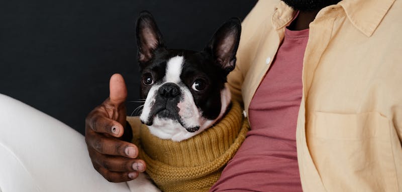 online audio tool interface mobile desktop