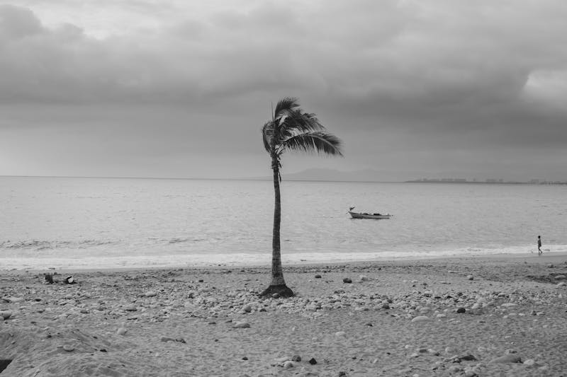 analizador de espectro de audio, frecuencias bajas y altas, diagnostico tecnico, ingeniero de sonido