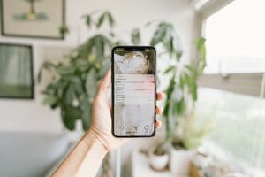 browser permission states, system notification configuration