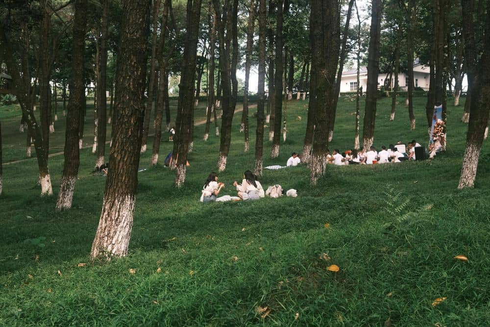 The Ultimate Practical Guide to Online Microphone Testing